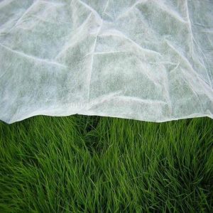 Agrilna koprena (spomladanska 17 g) 3.2 m – na meter (1 tekoči meter)